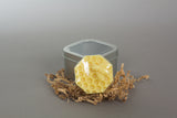 Lotion Bar